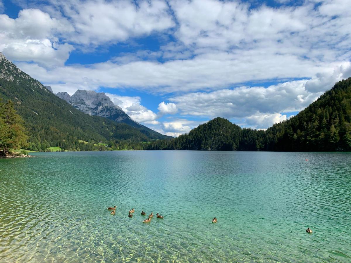 Traumhafte Lage, Einzigartiges Panorama Appartement Scheffau am Wilden Kaiser Buitenkant foto