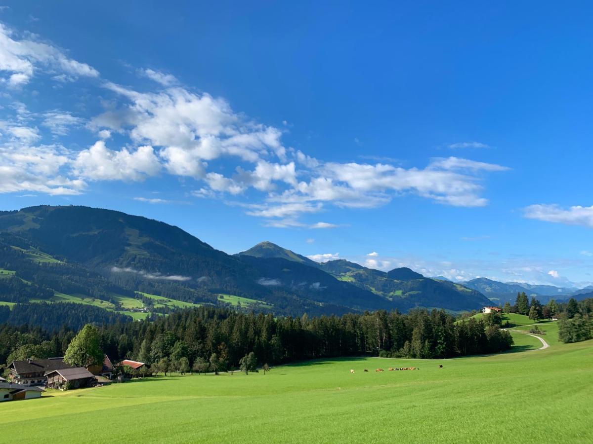 Traumhafte Lage, Einzigartiges Panorama Appartement Scheffau am Wilden Kaiser Buitenkant foto