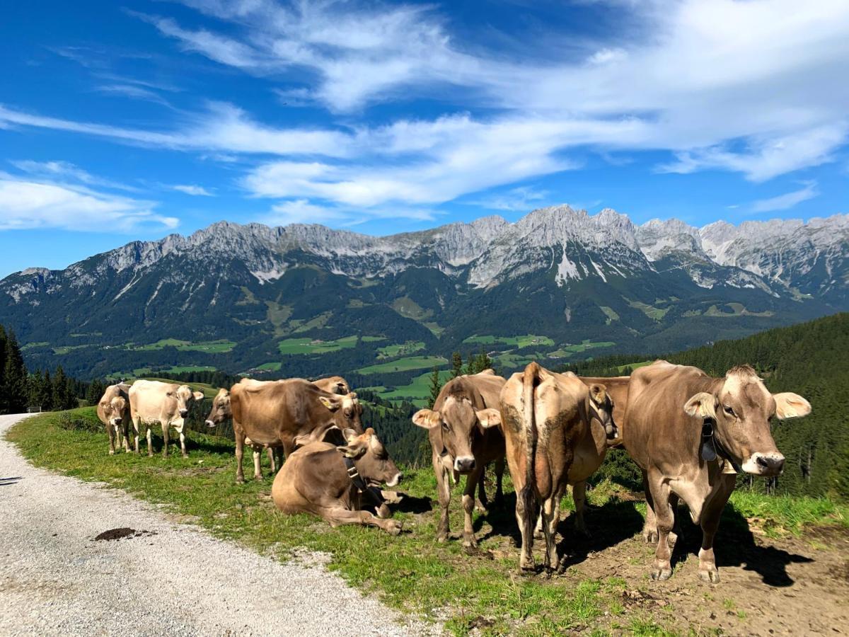 Traumhafte Lage, Einzigartiges Panorama Appartement Scheffau am Wilden Kaiser Buitenkant foto